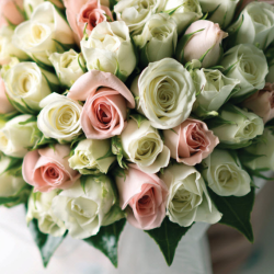 Weddings and Occasions