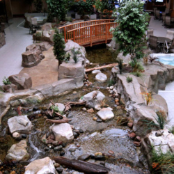 Indoor Waterfall