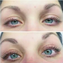Lash Tint & Brow Tint
