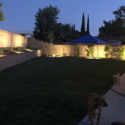 Outdoor Lighting Installation