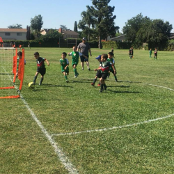Youth Soccer