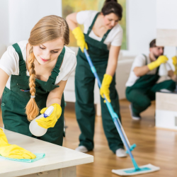 Move In/Move Out Cleaning