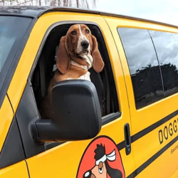 Doggy School Bus