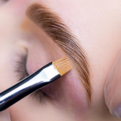 Eyebrow Lamination