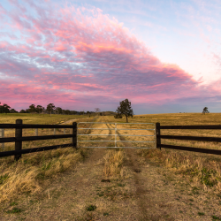 Fencing & Gates