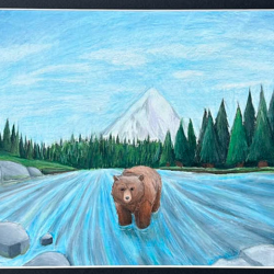 Congressional Art Competition