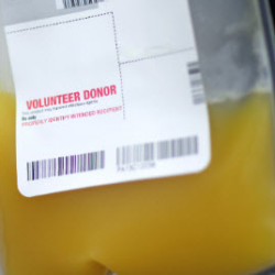 Platelet Donation