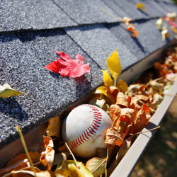 Gutter Cleaning