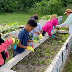 After-School Programs
