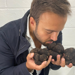 Fresh Truffle