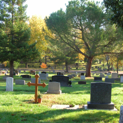 Casket Burial