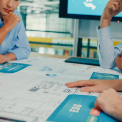 Sustainability Strategy Consulting