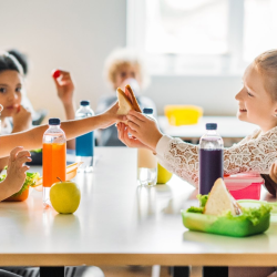 Nutrition & Wellness