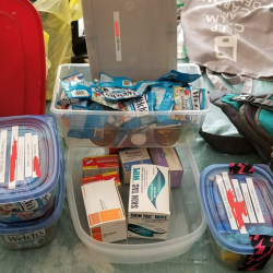 Educational Workshops