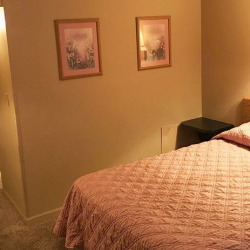 Pet-Friendly Accommodations