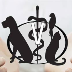 Veterinary Inspired Coverage 