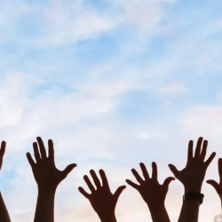 Volunteer Opportunities
