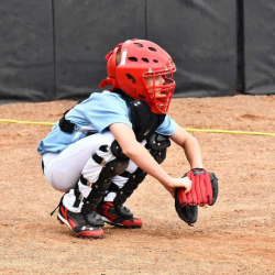 Umpire Development Program