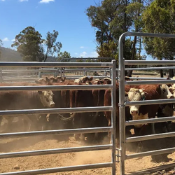 Product Demonstrations and Training