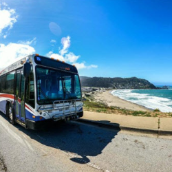 Coastside Services