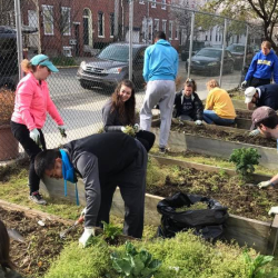 Community Building & Resident Engagement