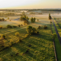 Farm