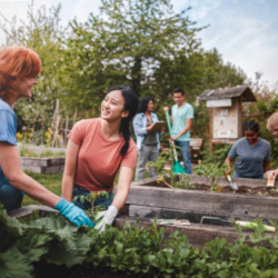 Community Garden