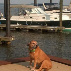 New Floating Docks