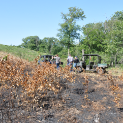 Wildlife Habitat and Conservation Efforts