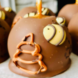 Chocolate Covered Caramel Apple