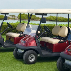 Golf Cart Rental