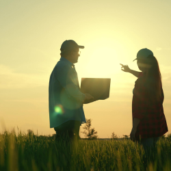 Commercial/Agricultural Loans