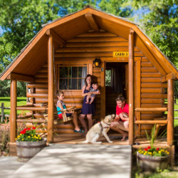 Cabin Rentals