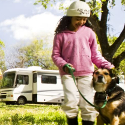  Pet-Friendly Camping