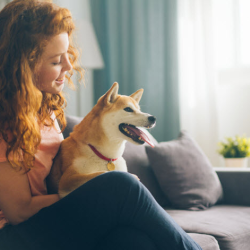 Pet Insurance