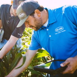 Crop Protection