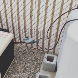 Service Installs
