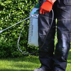 Power Spraying And Pest Control