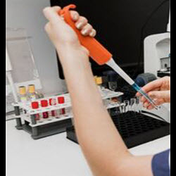 Laboratory Services