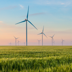 Environmental Stewardship