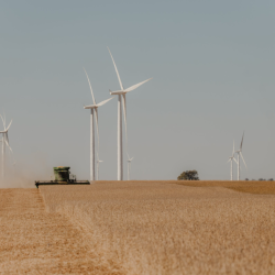 Economic Development