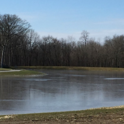 Lake/Pond Construction