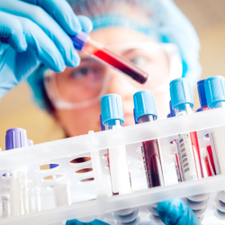 In-house labs and tests