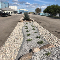 Commercial Landscapes