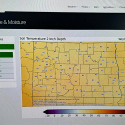 Planting Chart