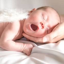 Newborn Photography