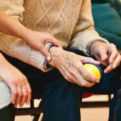 Geriatric Care Services 
