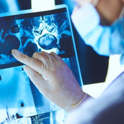 Imaging & Lab Services