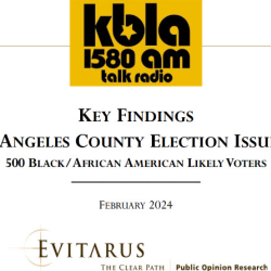 2024 Los Angeles Election Issues Survey