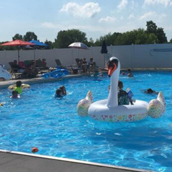 The Pool